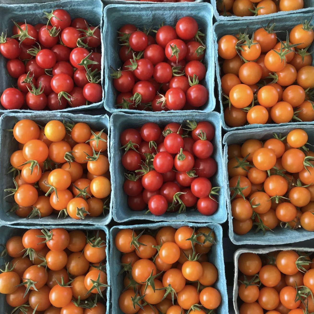 farmers market at the comm