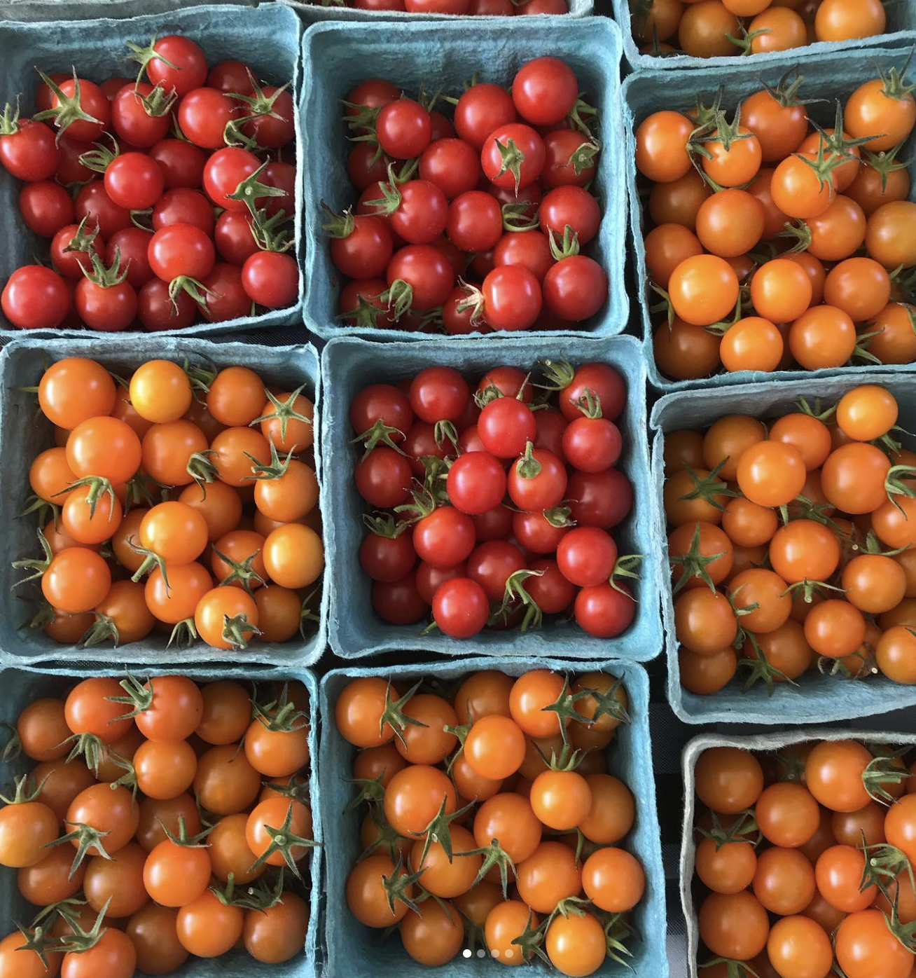 farmers market at the comm